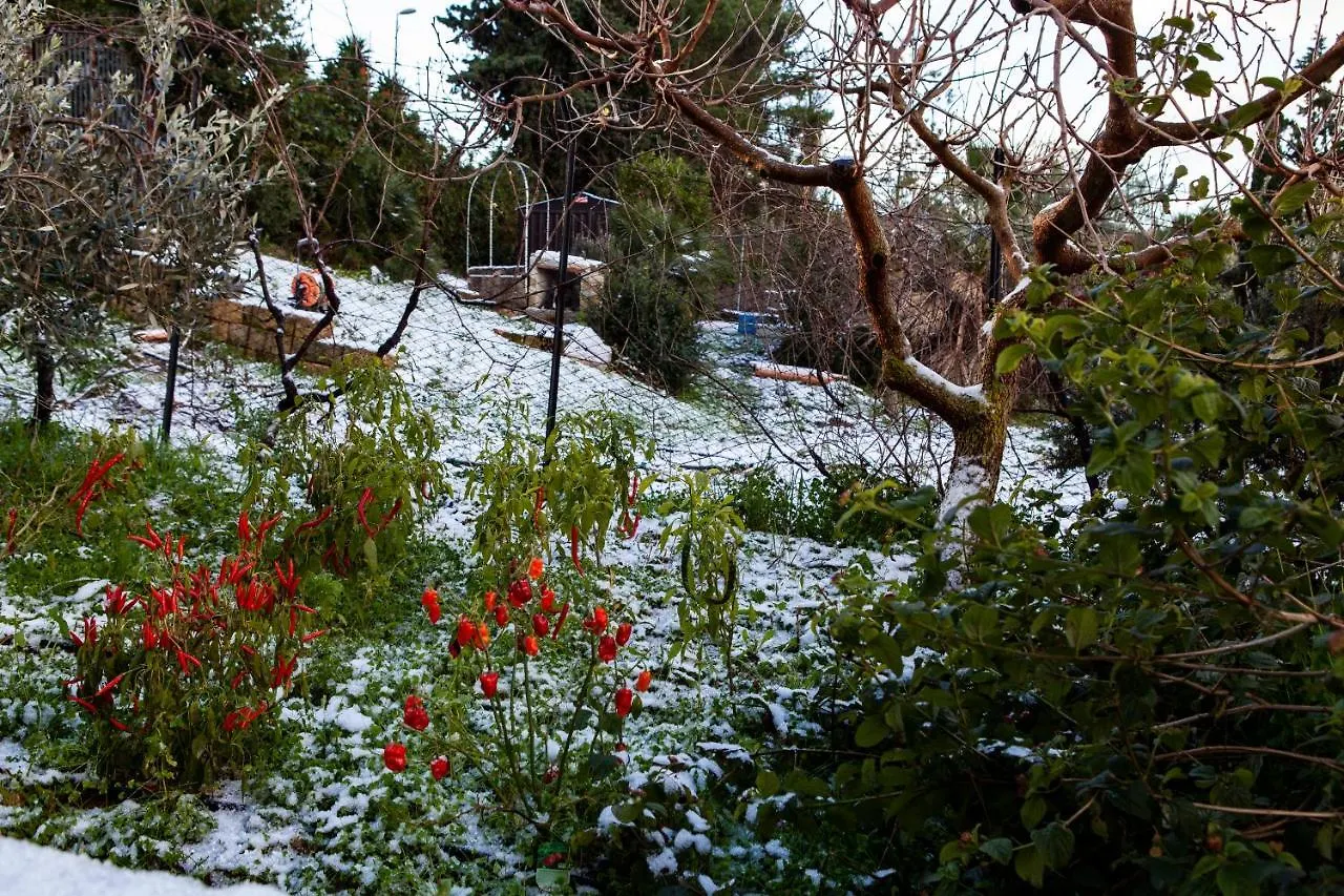 Kır Evi Sogno Siciliano Turismo Rurale Konuk evi Erice İtalya